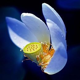 《龙与地下城：黑暗联盟》上市CG 忠实还原野蛮人